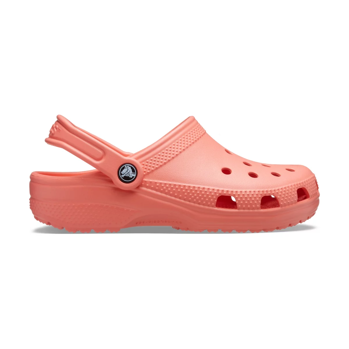 shoe img
